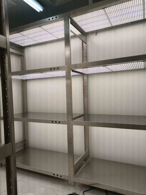 不銹鋼組培架、栽培架與掛包架 應(yīng)用與優(yōu)勢(shì)解析